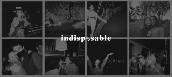 indiposable